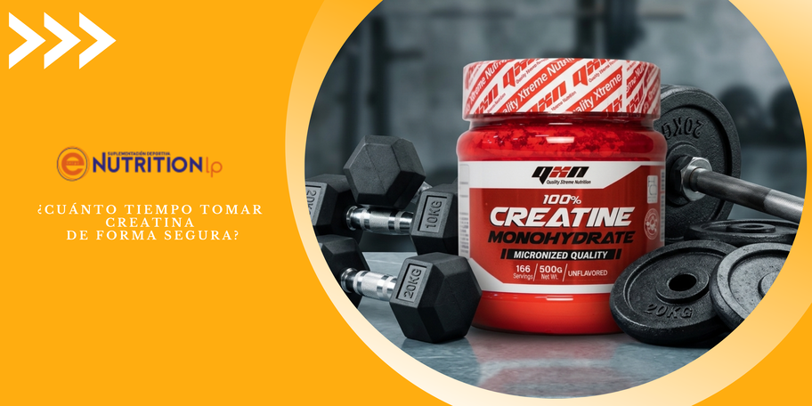 ¿Cuánto tiempo tomar creatina de forma segura?