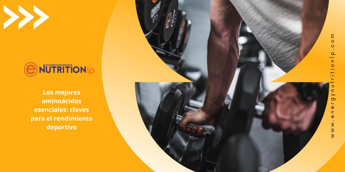 Los mejores aminoácidos esenciales: claves para el rendimiento deportivo