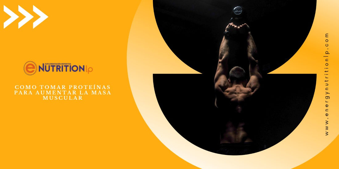 Como tomar proteínas para aumentar la masa muscular