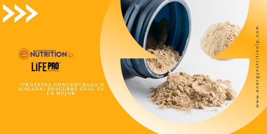 Imagen de portada acerca de la diferencia entre la proteína concentrada y aislada